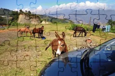 el caballo y el carro jigsaw puzzle