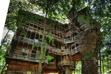 tree house 8