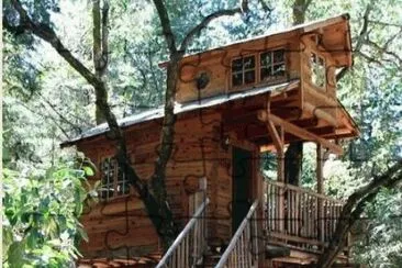 tree house 9.