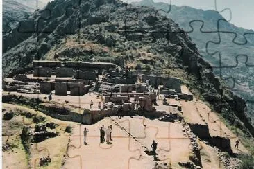 PISAC jigsaw puzzle