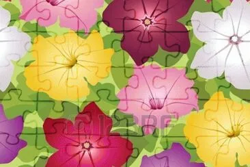 foto jigsaw puzzle