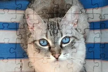 Max jigsaw puzzle