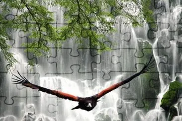 flight at the falls jigsaw puzzle