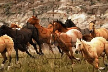 wild horses jigsaw puzzle