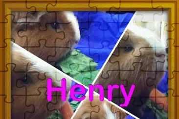 פאזל של henry