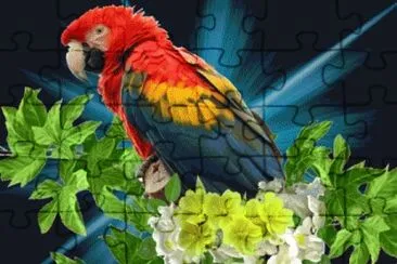 image jigsaw puzzle