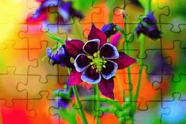 POEMA DE COLORES jigsaw puzzle