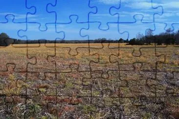 Cabarrus County Field jigsaw puzzle