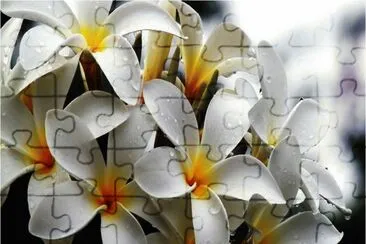 פאזל של flowers