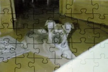 all jigsaw puzzle