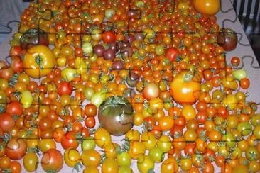 פאזל של tomatoes