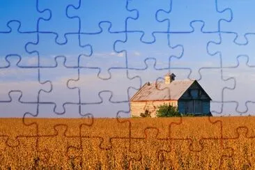 soybeans and barn