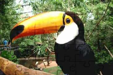 TUCAN