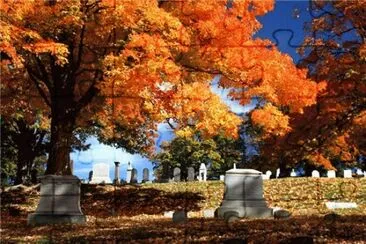 Cross Creek cemetery