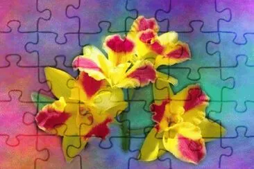 image jigsaw puzzle