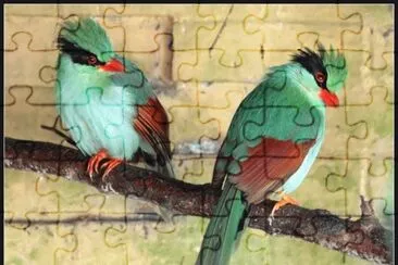 image jigsaw puzzle