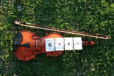 פאזל של violin