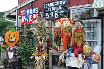 Scarecrows for sale