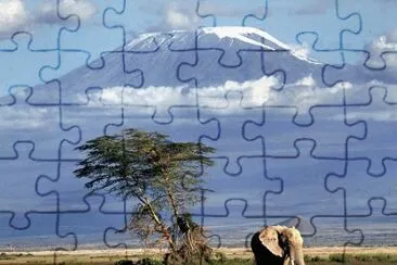 6 jigsaw puzzle