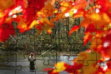 fall fishing