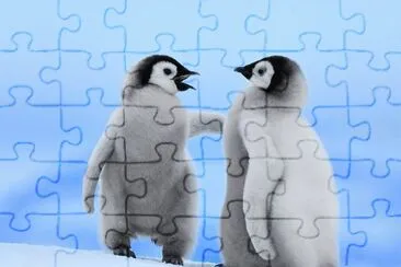 פאזל של bebes pinguinos