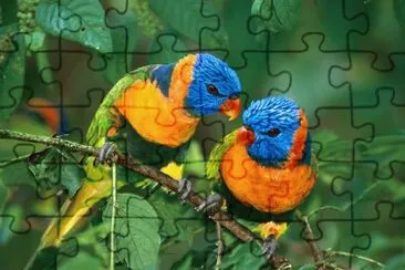 tiernos jigsaw puzzle