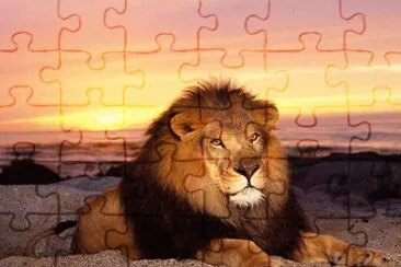 ocaso jigsaw puzzle