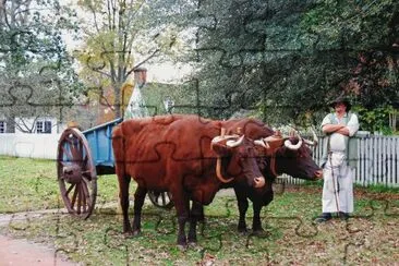 Colonial Williamsburg