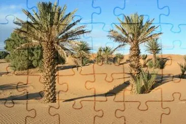 desert palmiers jigsaw puzzle