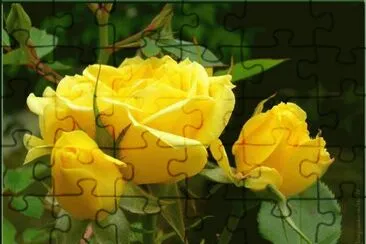 flower jigsaw puzzle