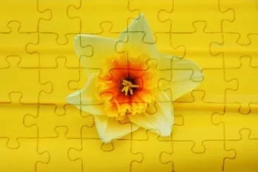 yellow jigsaw puzzle