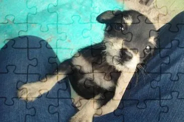 Chapis!xD jigsaw puzzle