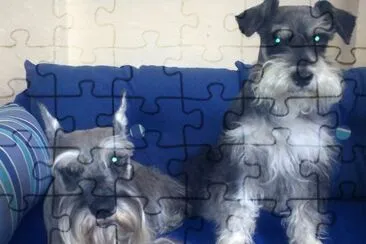 macotas jigsaw puzzle