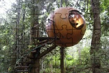 tree house b b