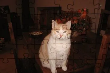  jigsaw puzzle