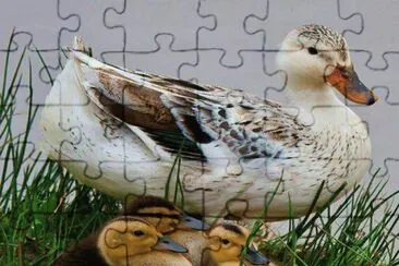 . jigsaw puzzle