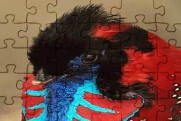 . jigsaw puzzle