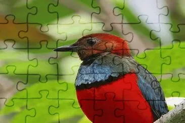 . jigsaw puzzle