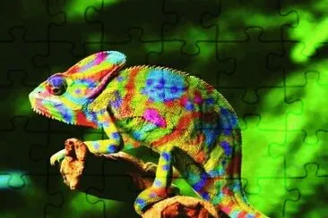 . jigsaw puzzle