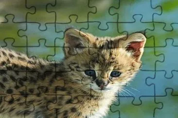 . jigsaw puzzle