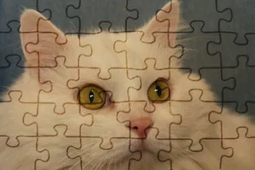 Olhares de um gato pacifista jigsaw puzzle