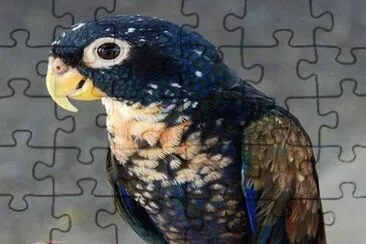 . jigsaw puzzle