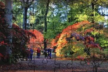 Westonbirt Autumn Colour