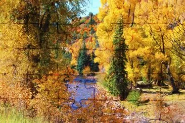 Fall in Colorado