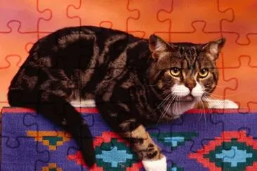 image jigsaw puzzle