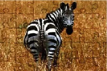 פאזל של zebra