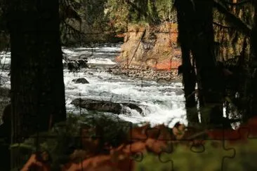 River, Vancouver Island, British Columbia, Canada