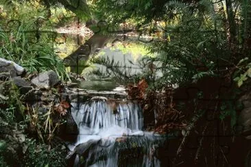 Judy 's Water Fall, Vancouver Island, BC, Canada