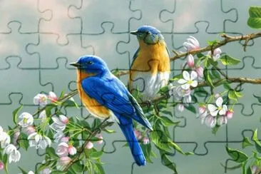 pajarito jigsaw puzzle