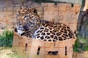 things jigsaw puzzle